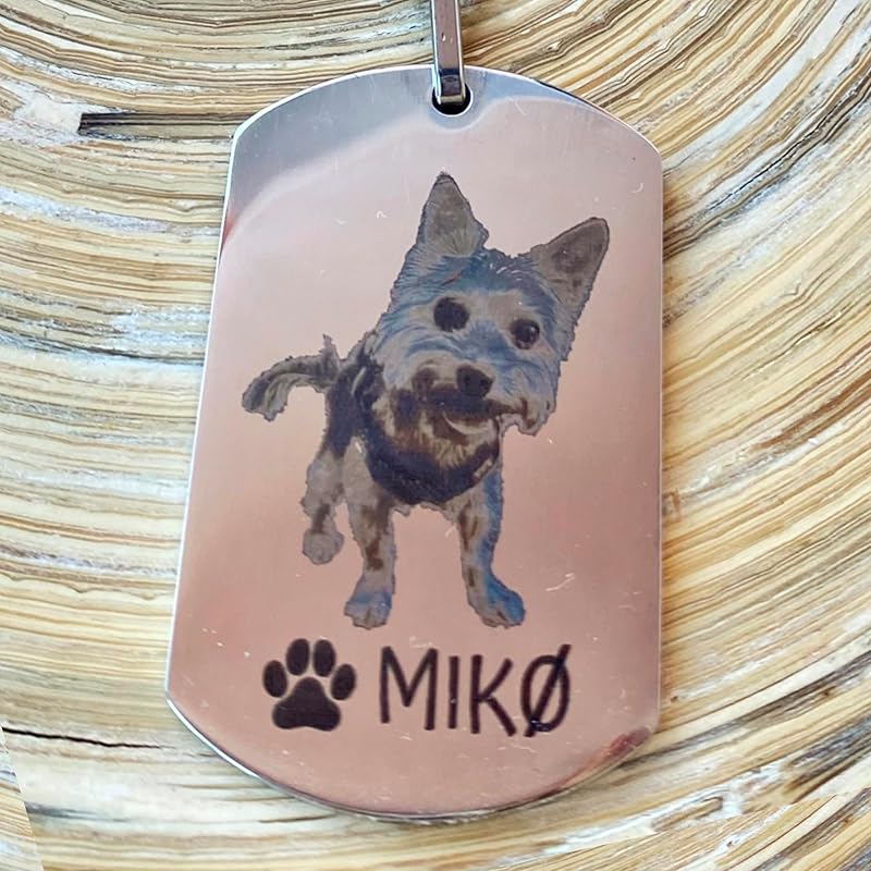 Llavero de acero inoxidable con foto de mascota con huella personalizado con nombre o frase.